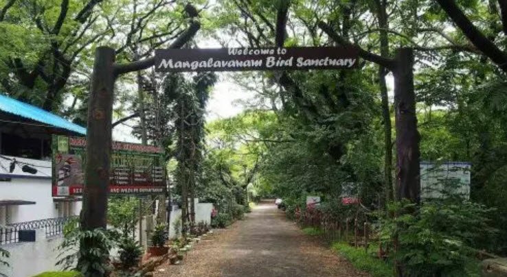 Mangalavanam Bird Sanctuary, Ernakulam, Kerala - Vushii.com Mangalavanam Bird Sanctuary, Ernakulam, Kerala - Vushii.com